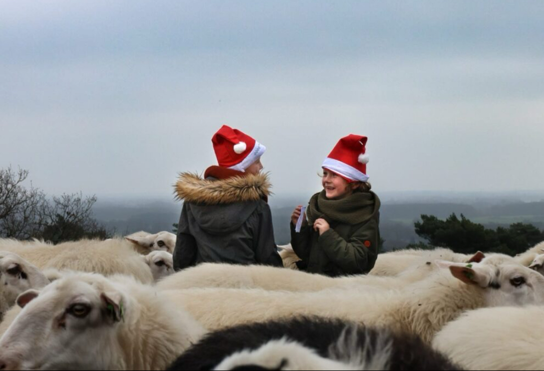 De Acon kerstwandeling. Volop vertier voor jong en oud.