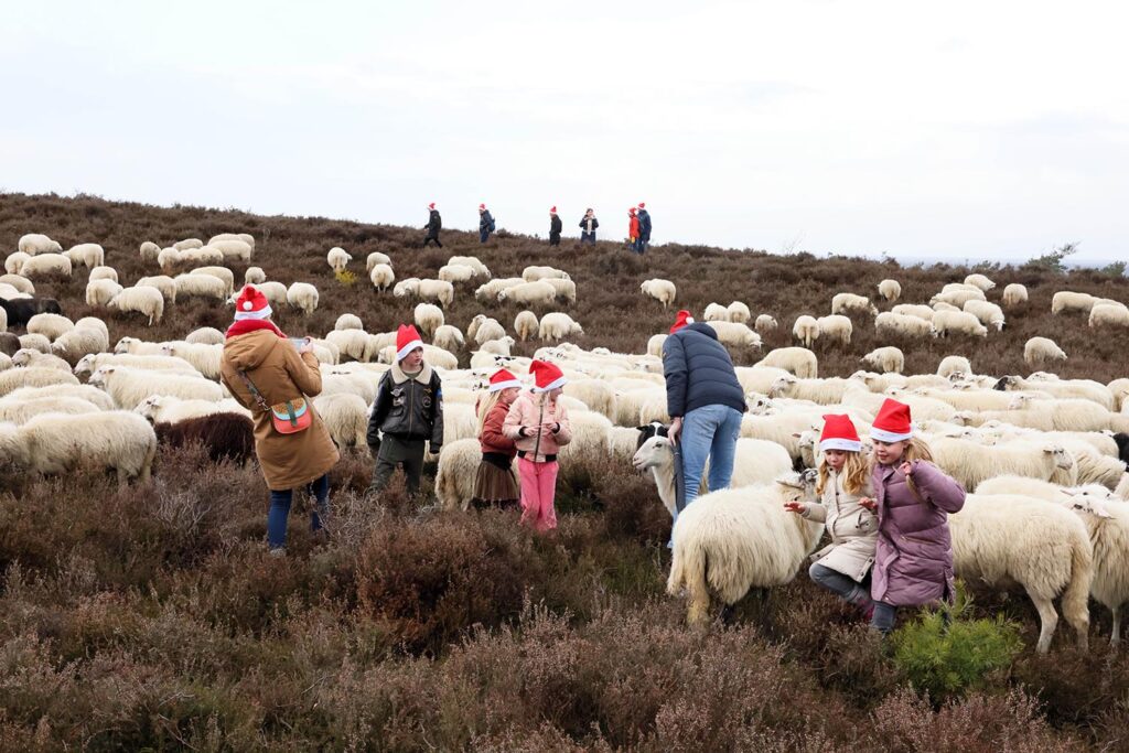 Kerstwandeling Lemelerberg (31)