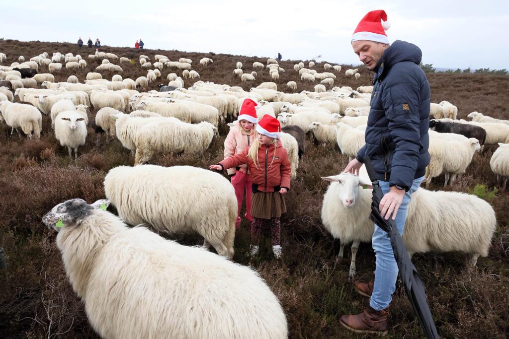 Kerstwandeling Lemelerberg (33)