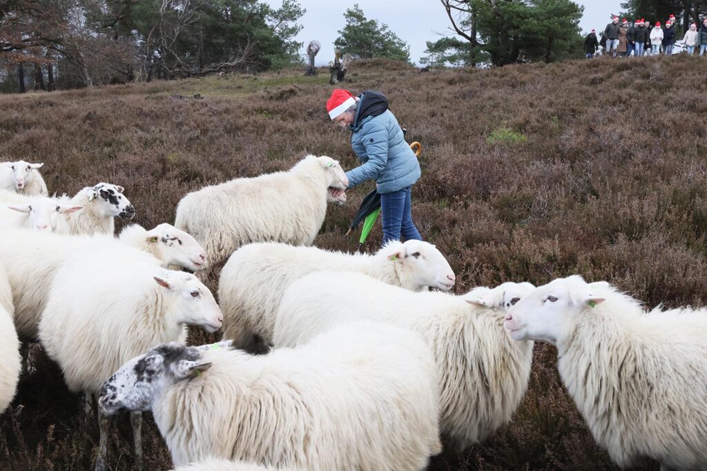 Kerstwandeling Lemelerberg (36)