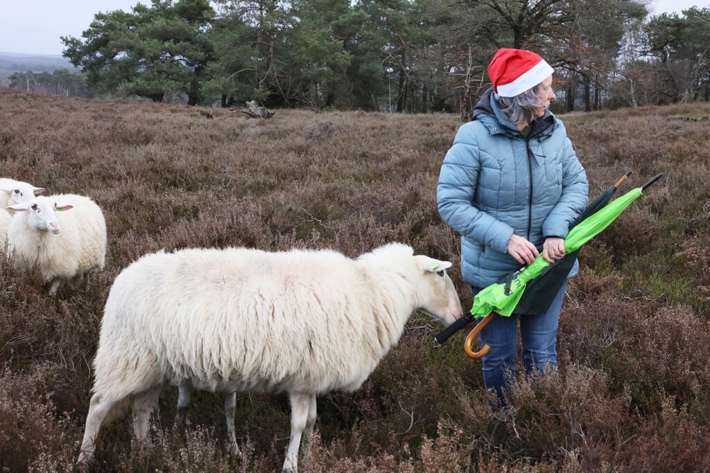 Kerstwandeling Lemelerberg (38)