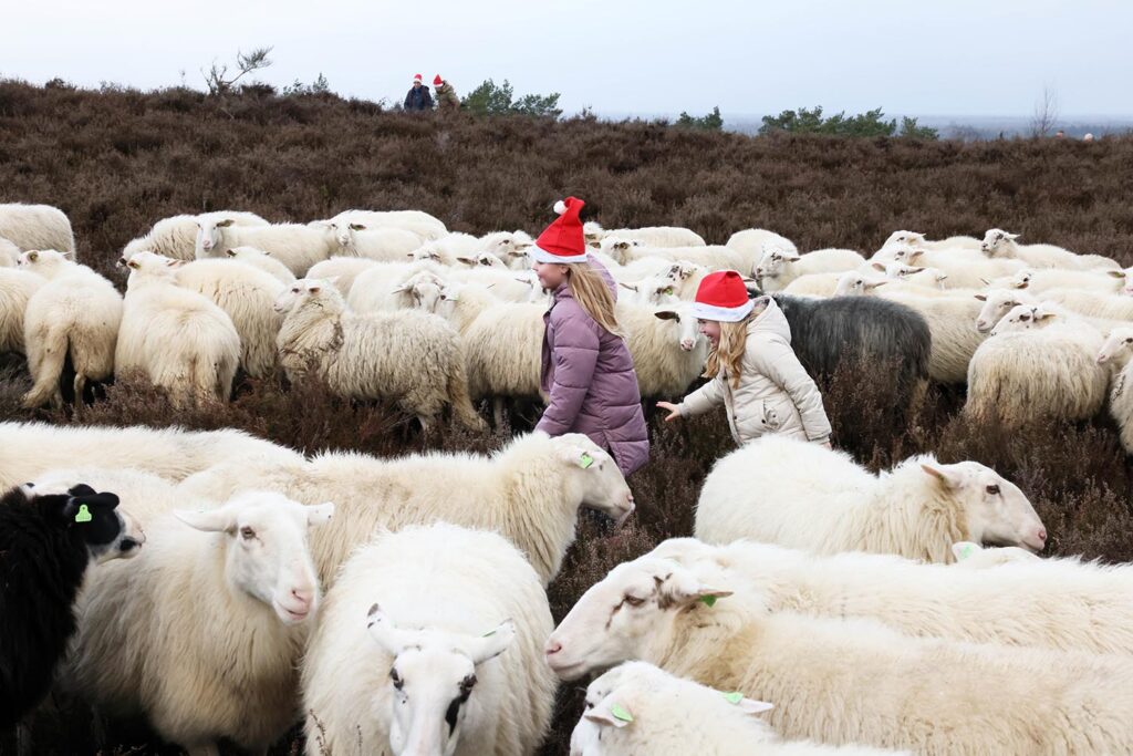 Kerstwandeling Lemelerberg (40)