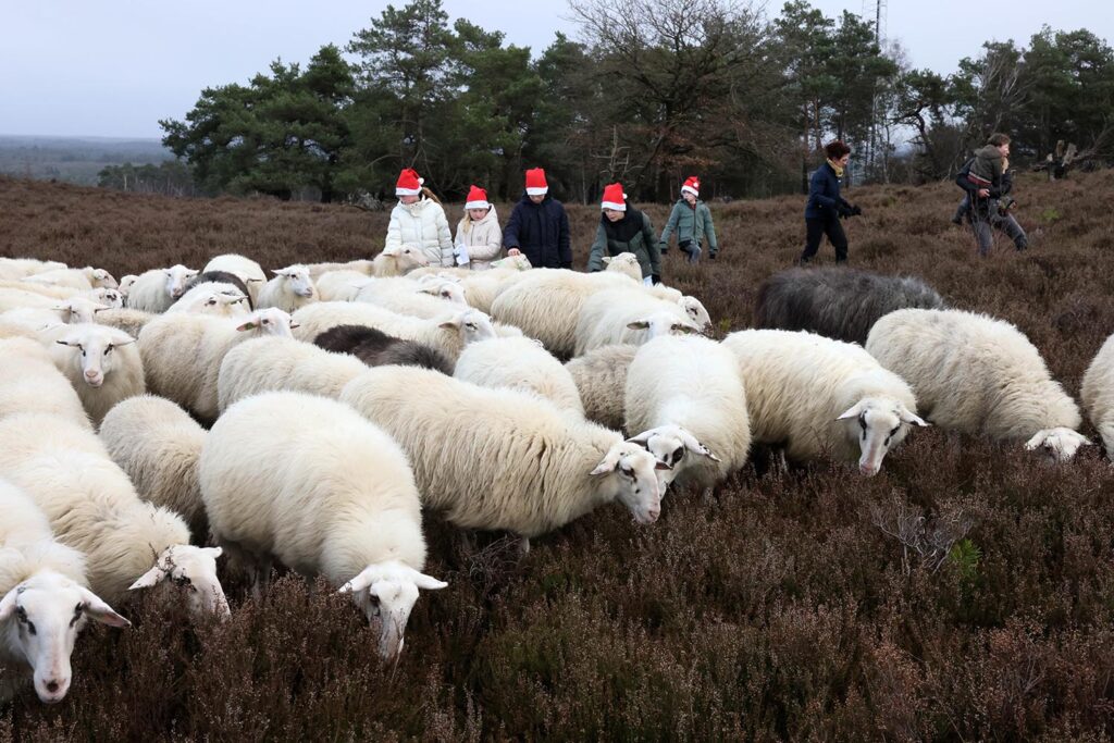 Kerstwandeling Lemelerberg (44)