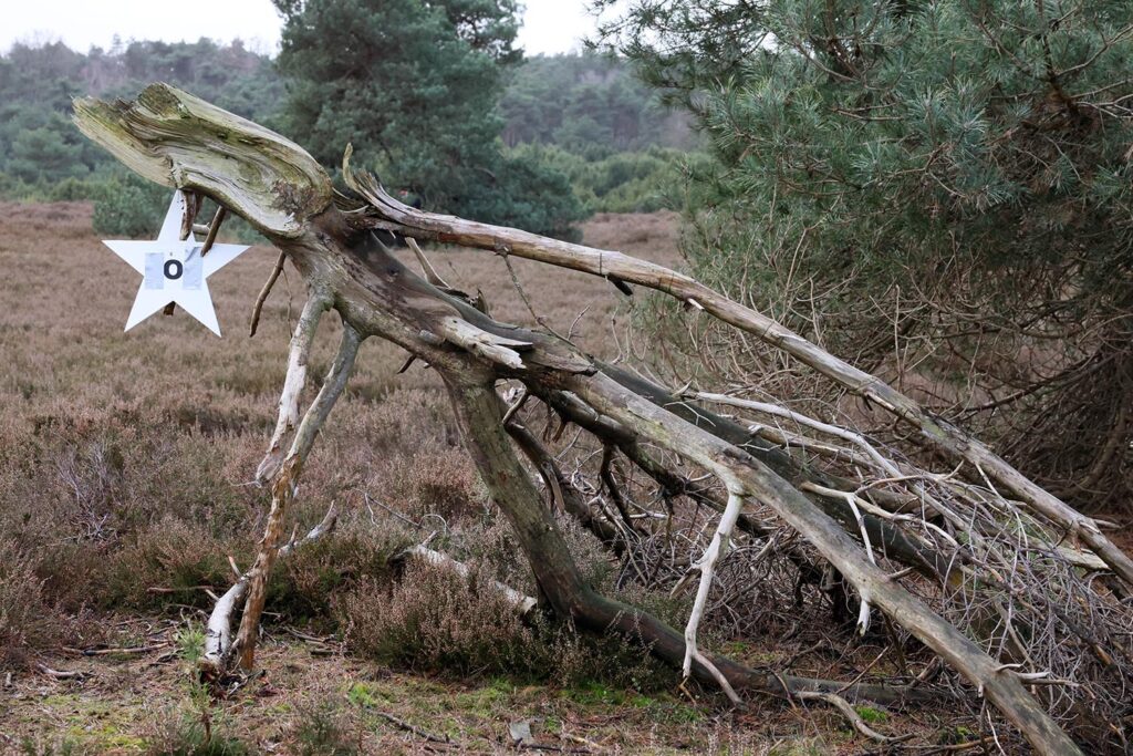 Kerstwandeling Lemelerberg (51)