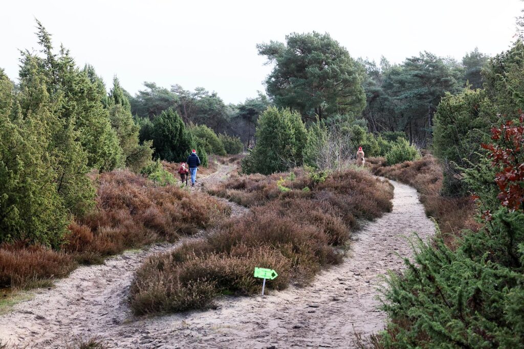 Kerstwandeling Lemelerberg (59)