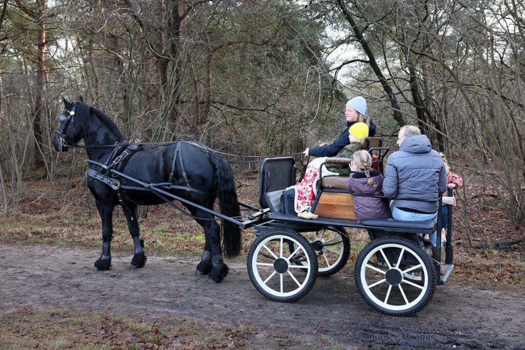 Kerstwandeling Lemelerberg (60)