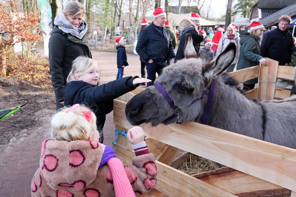 Kerstwandeling Lemelerberg (64)